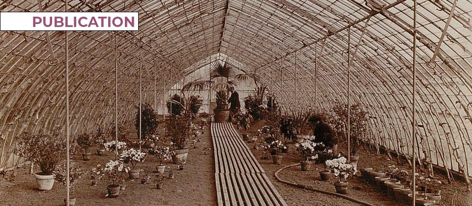 Publication-PAT-1-2026